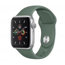 Apple Watch Series 5 (GPS) 44mm Silver Aluminum Case with Sport Band Pine Green