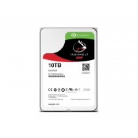 HDD Seagate IronWolf (ST10000VN0004)