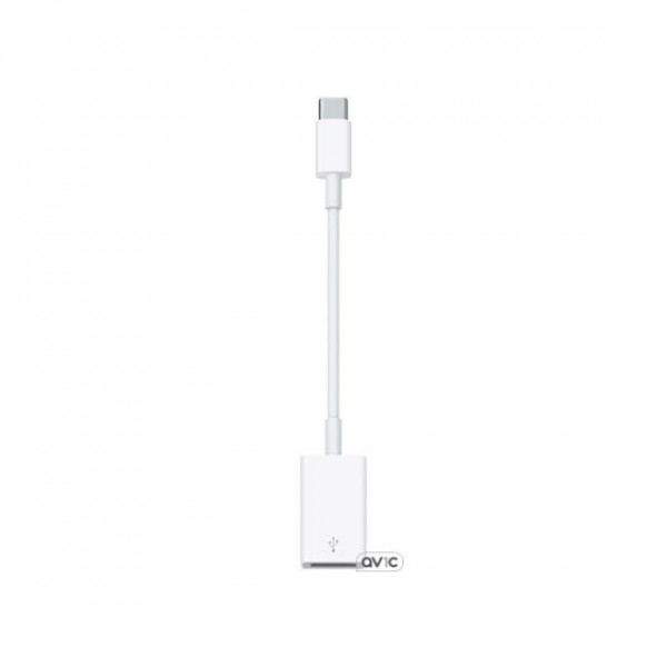 Apple USB-C to USB Adapter (MJ1M2)