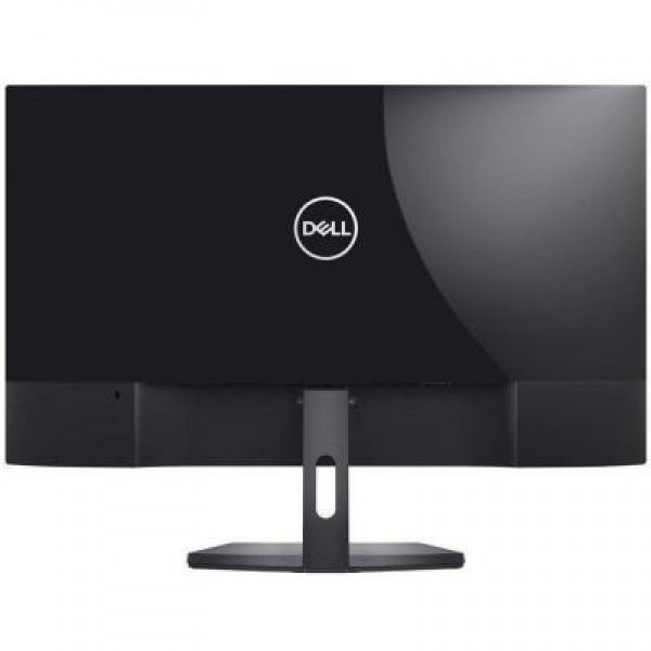 Монитор Dell SE2419H (210-AQOK)