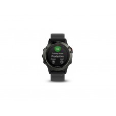 Смарт-часы Garmin fenix 5 Slate Gray with Black Band (010-01688-00)