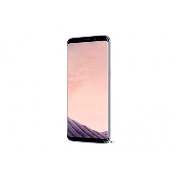 Смартфон Samsung Galaxy S8 64GB Gray (SM-G950FZVD)