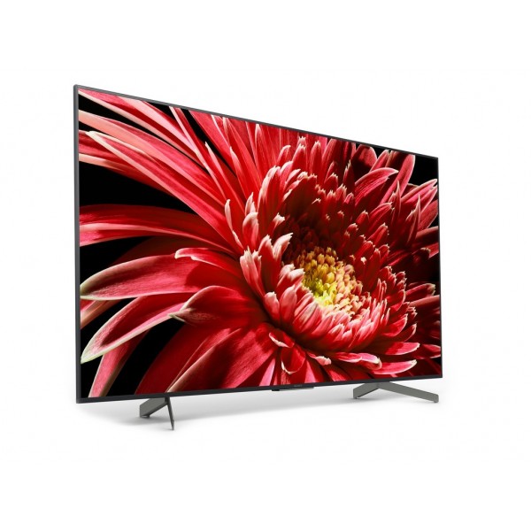 Телевизор Sony KD65XG8596