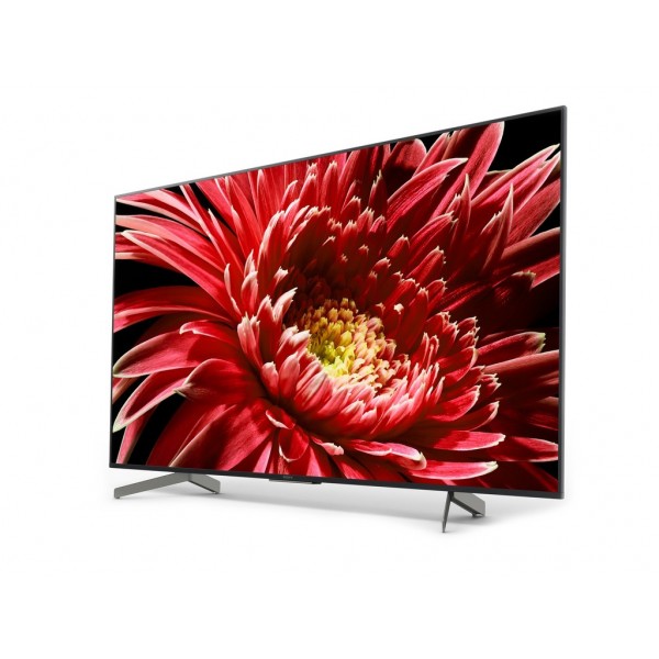 Телевизор Sony KD65XG8596