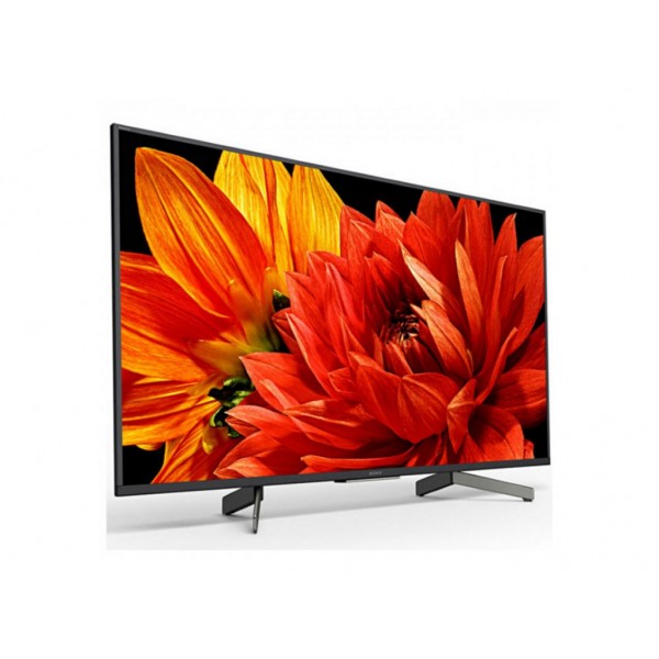 Телевизор Sony KD-49XG8396