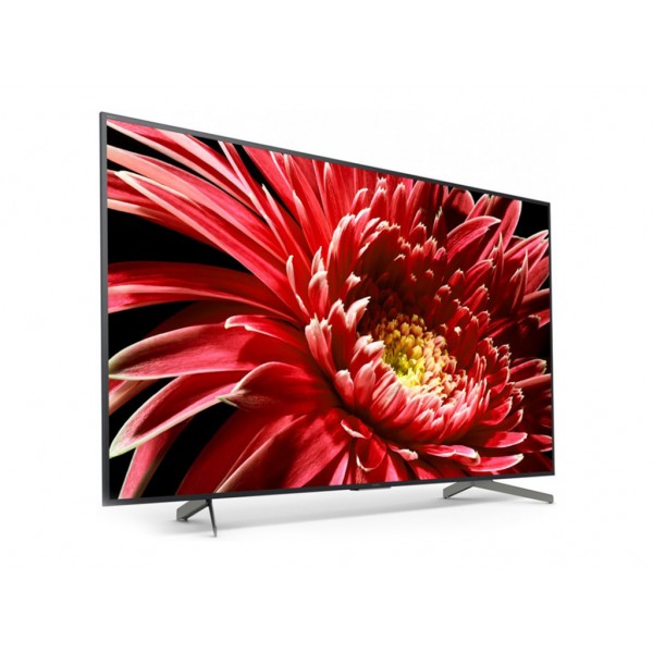 Телевизор Sony KD55XG8596BR