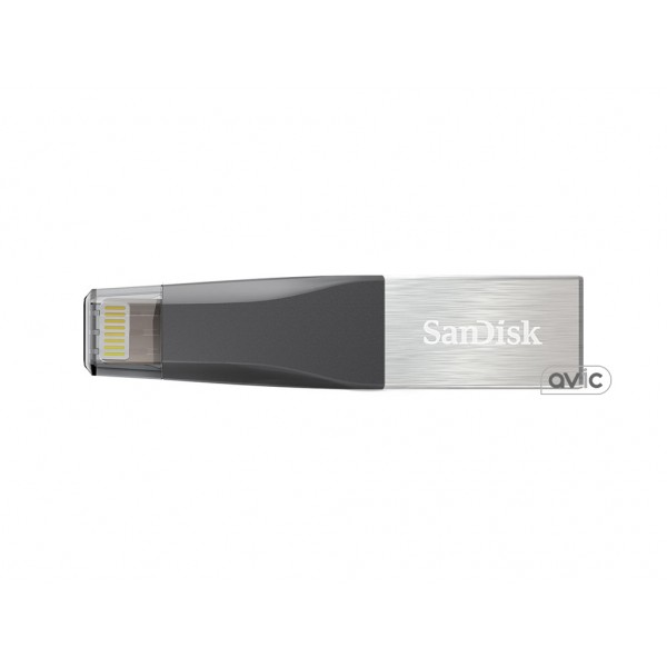 Флешка SanDisk 64 GB iXpand Mini (SDIX40N-064G-GN6NN)